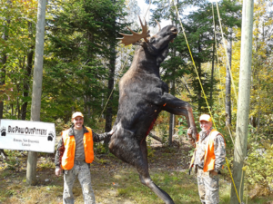 Forfaits de chasse au gros gibier à l'ours noir — Big Paw Outfitters – Big Paw Outfitters